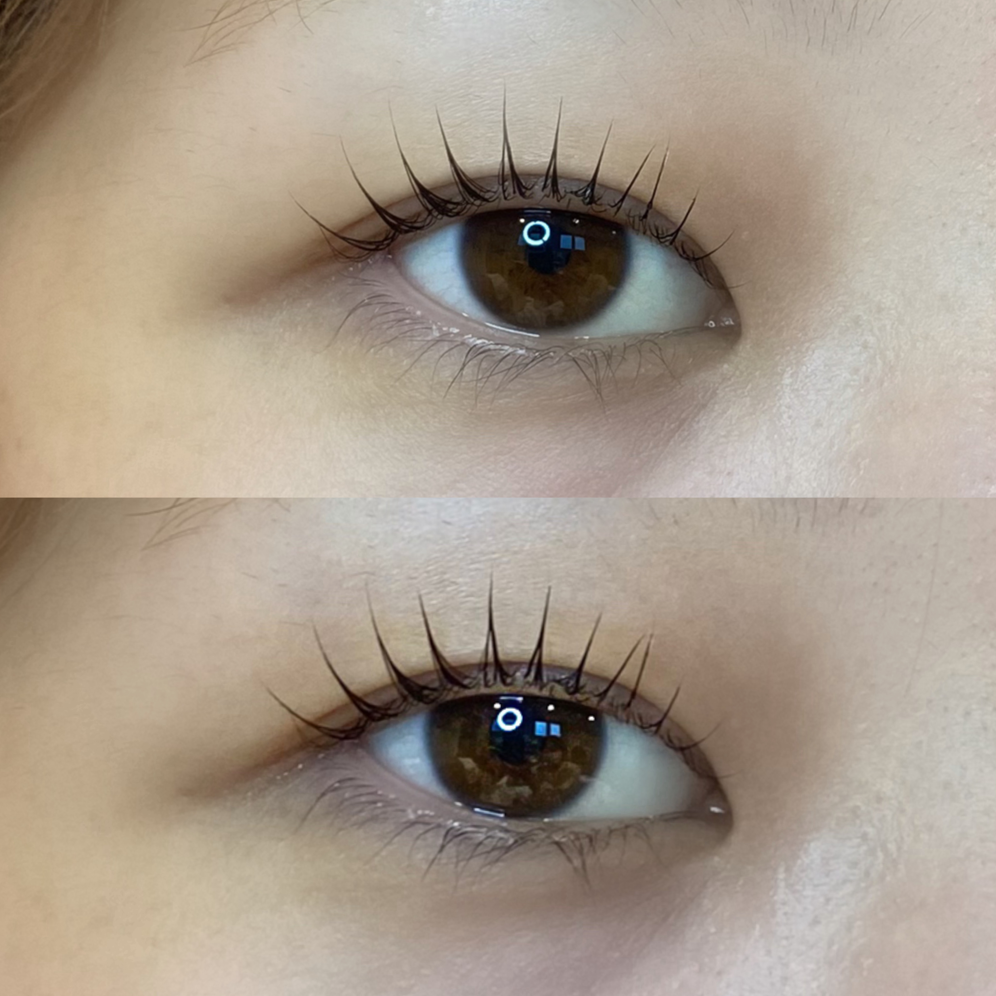 bridge_eye_rey