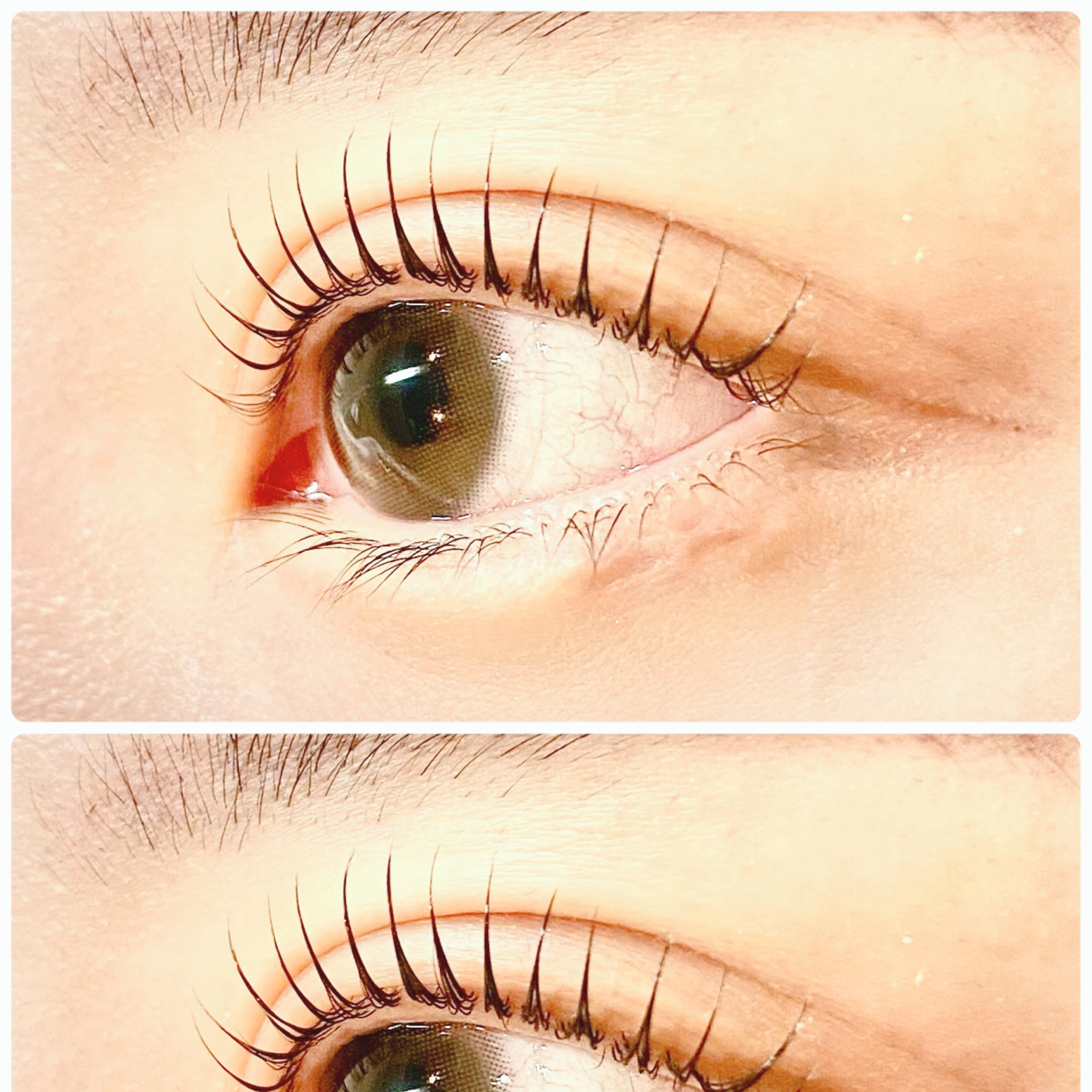 eyelash.ayumi