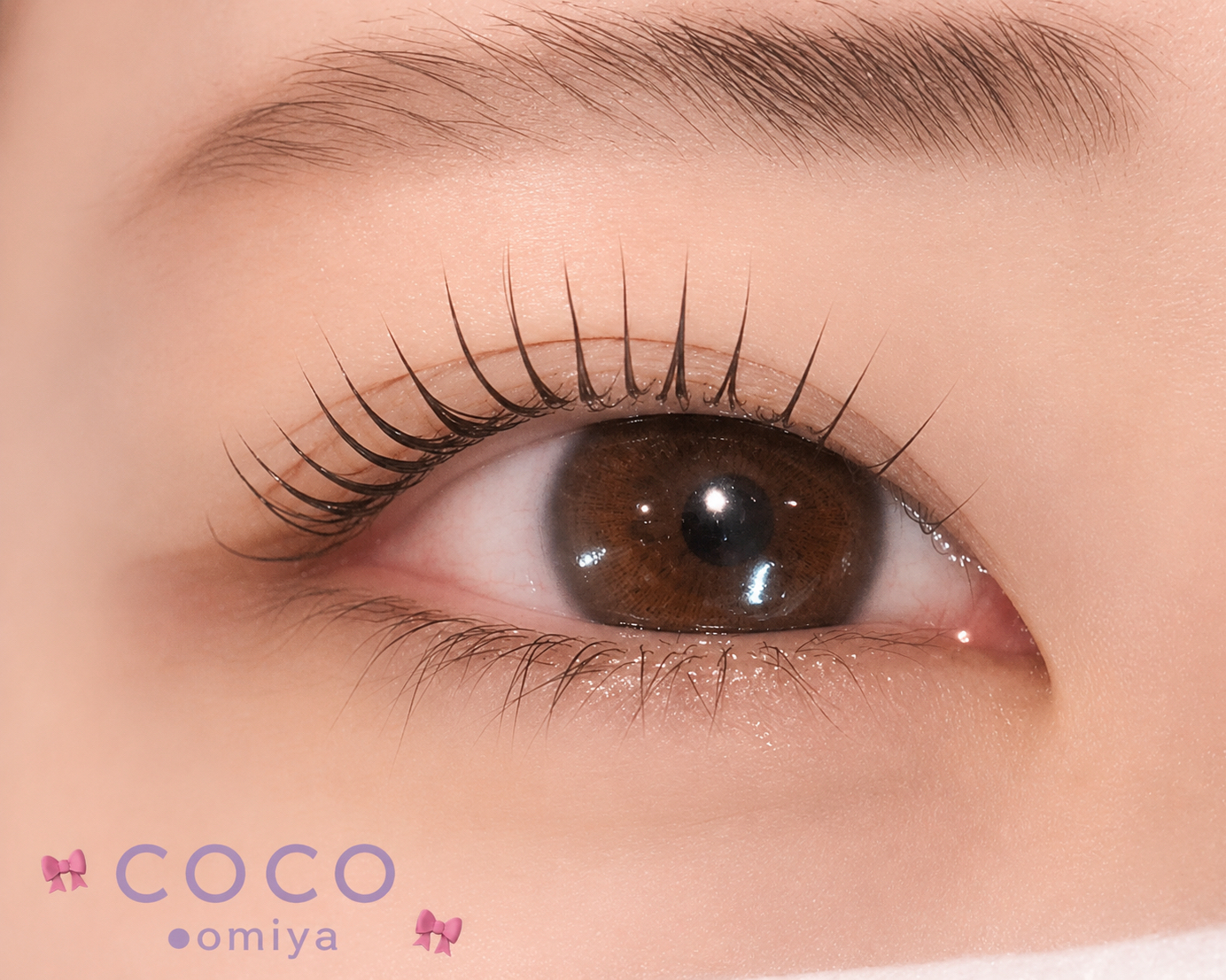 coco_shizuku