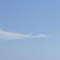 _riririn