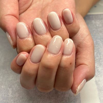 オープン記念🏅ワンカラー 