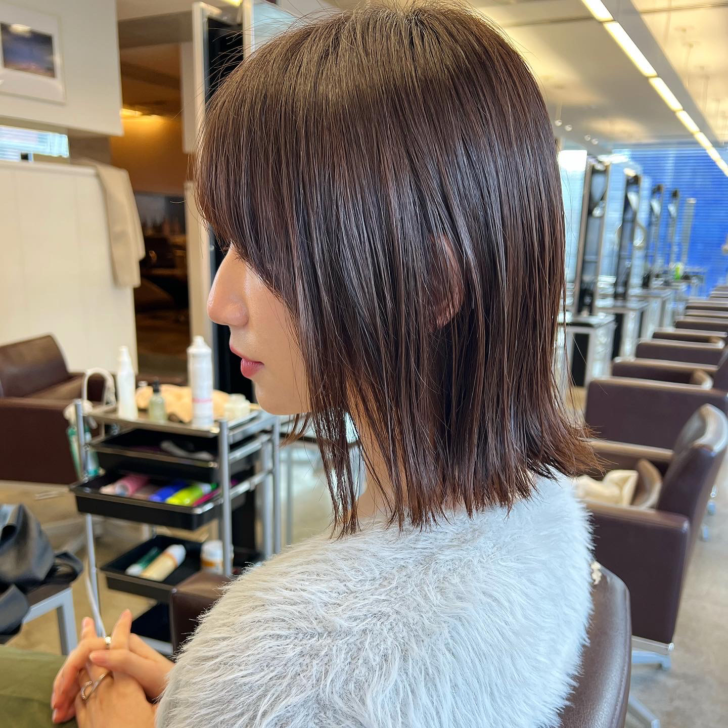 ill_dobashi