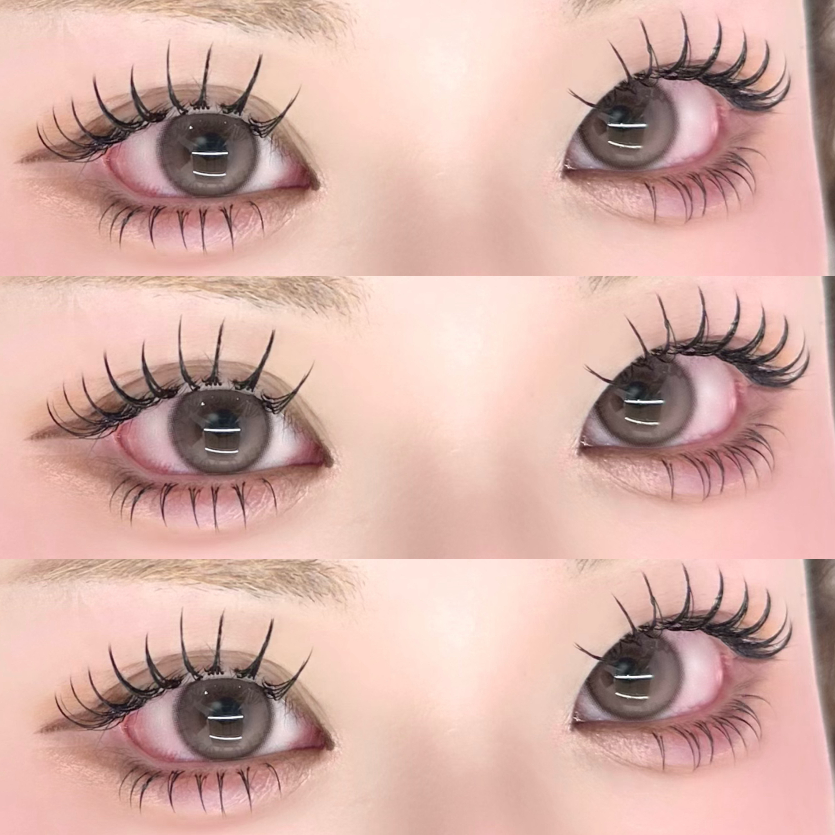 haruu7_daisy