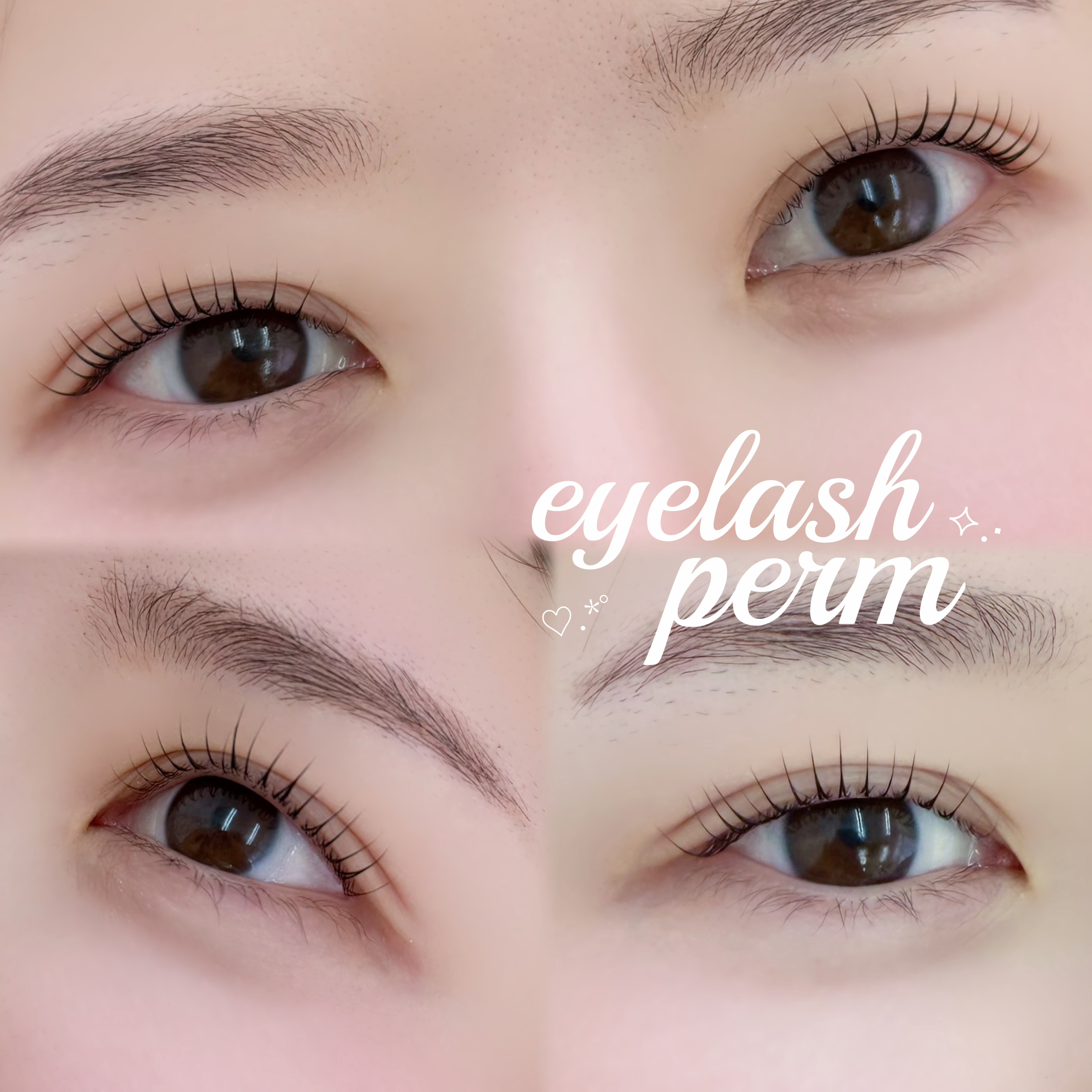 momo_eyelash