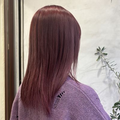 ✂︎メンテナンスカット✂︎ + CMCトリートメント ミディアム ロングのみ