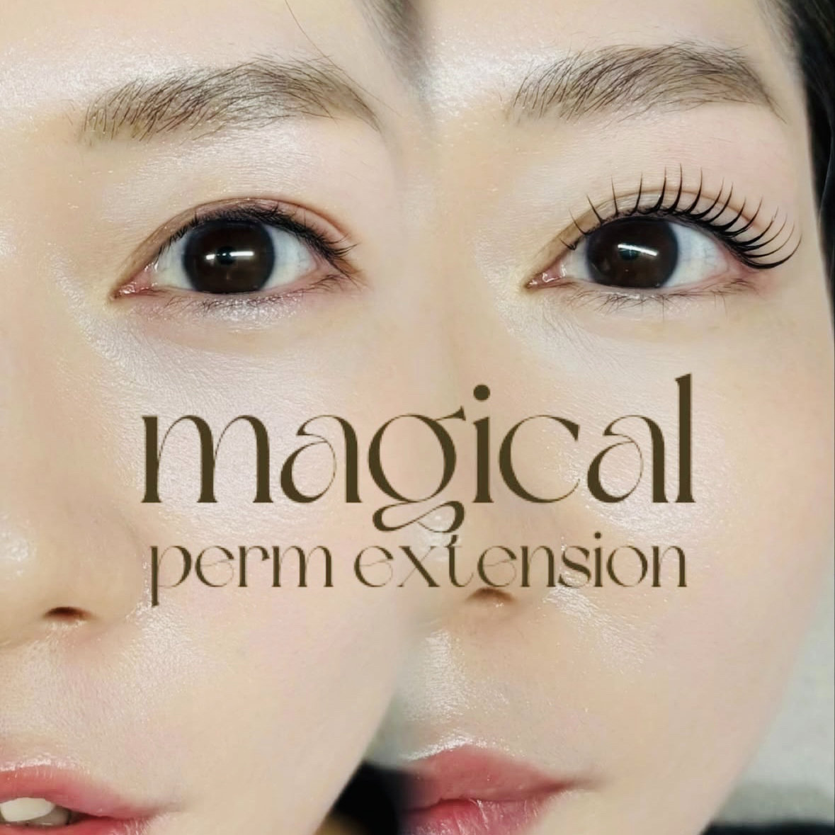 tomomi.fudo