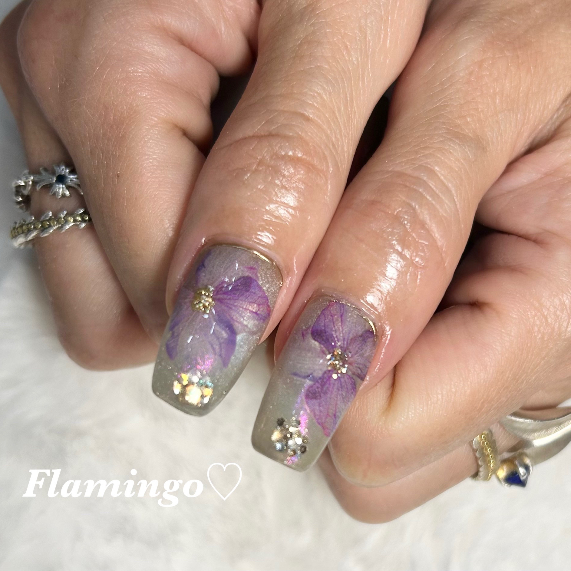flamingo