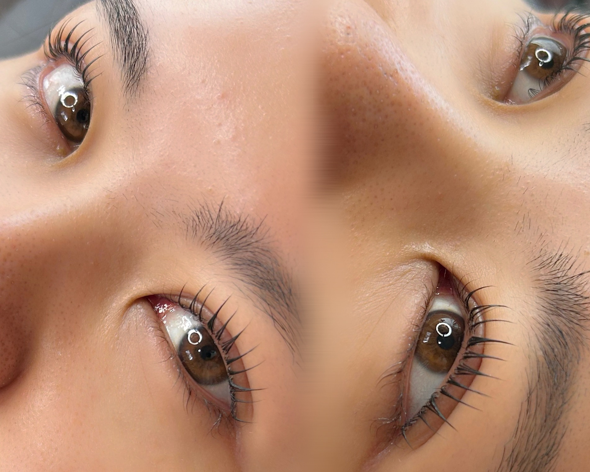 eyelash_eyebrow_desiree.