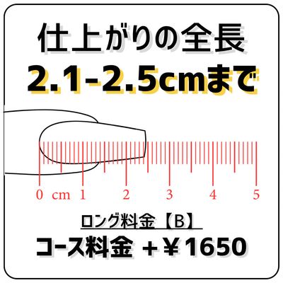 ⚠️単品不可⚠️ロング料金【Ｂ】(全長2.1〜2.5cm)