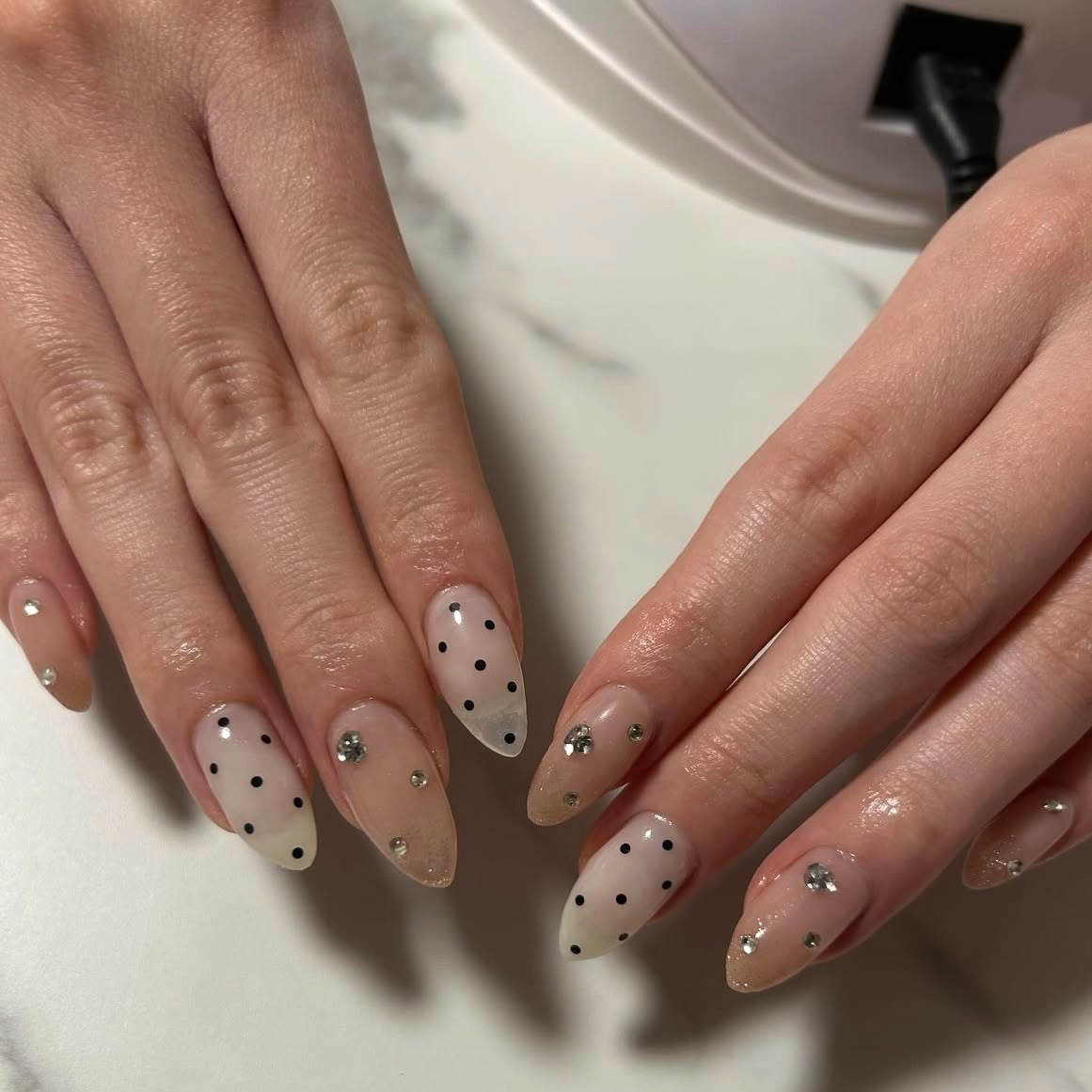 N2.nail_warabi