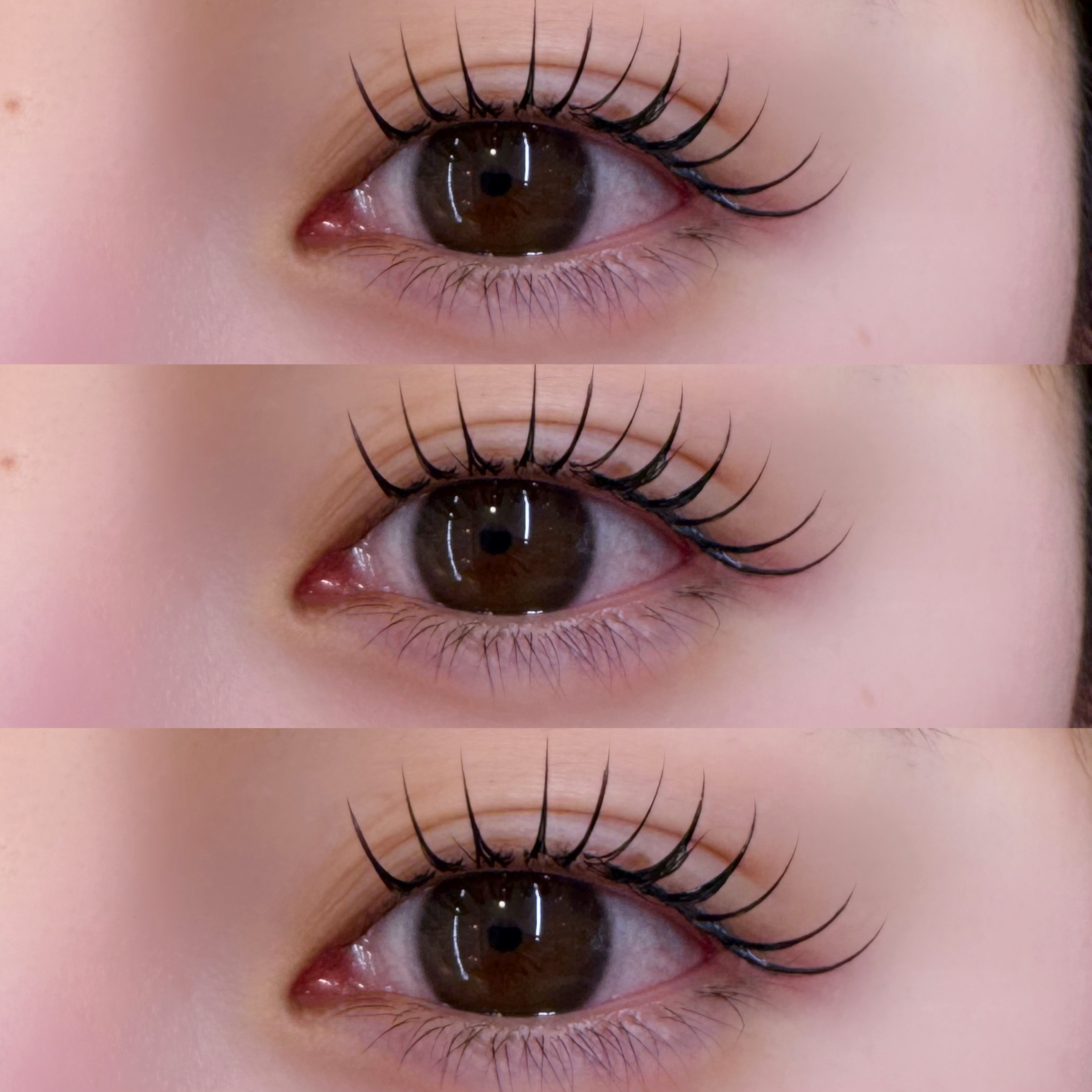 eye_ayame