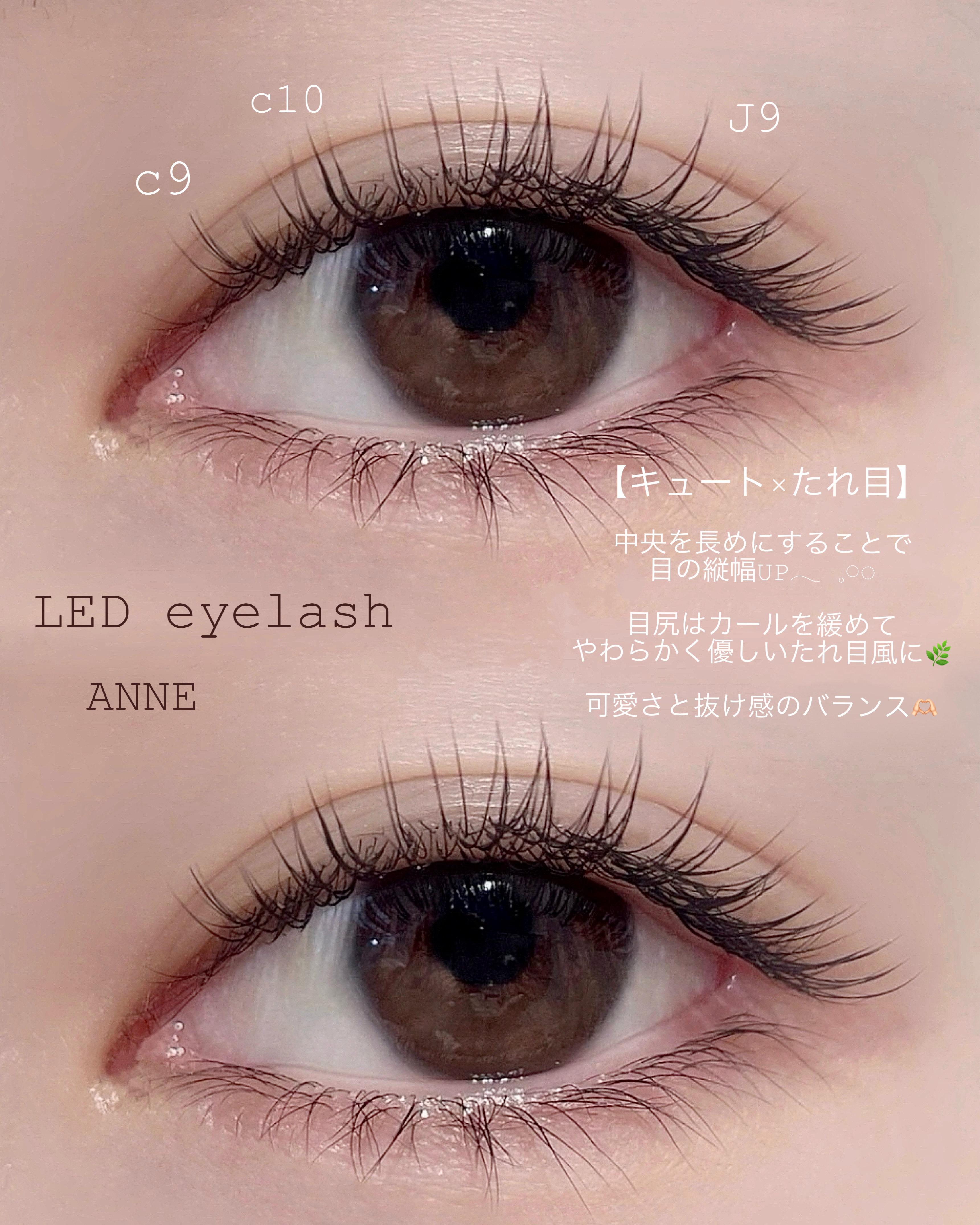 anne_chizu