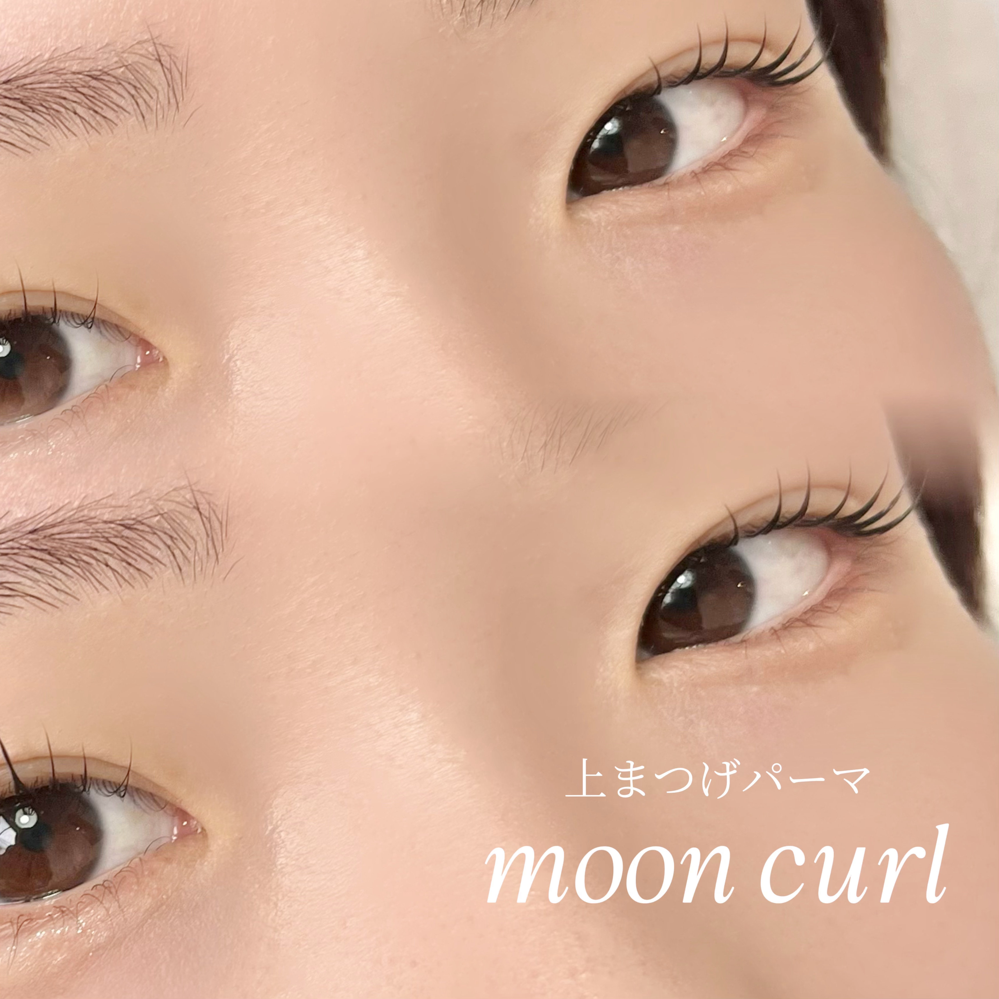 linoa.eyelash__