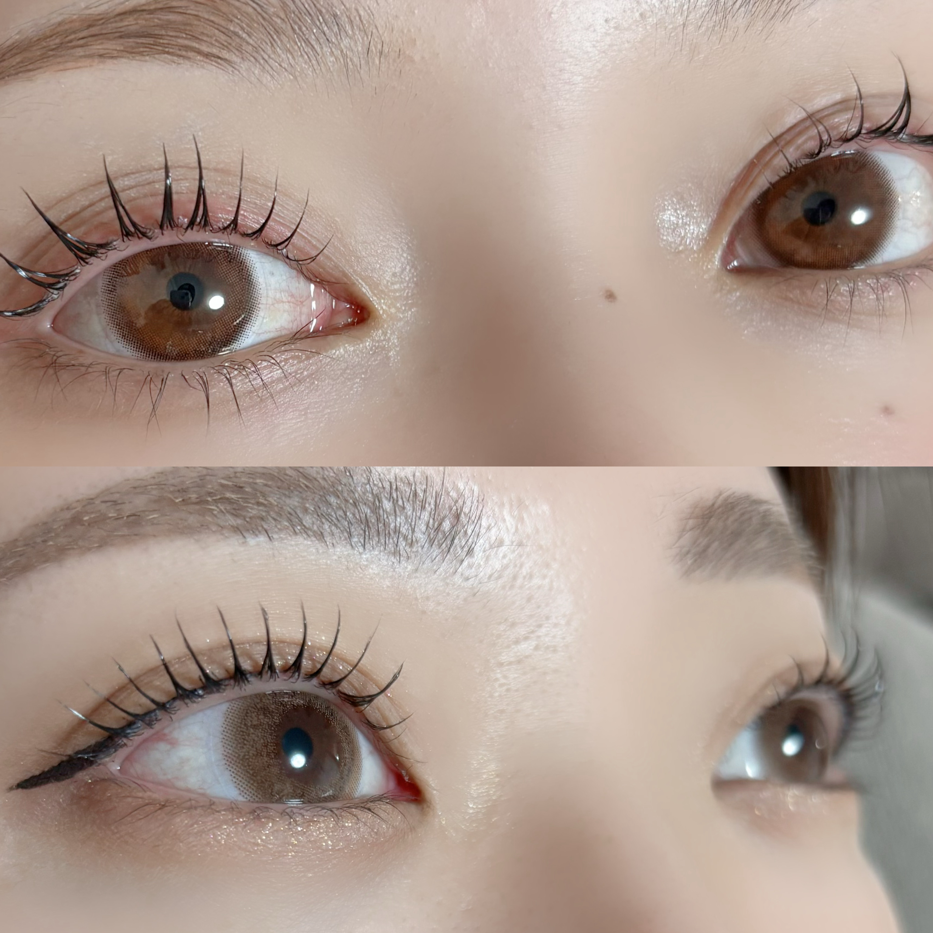 filo_eyelash