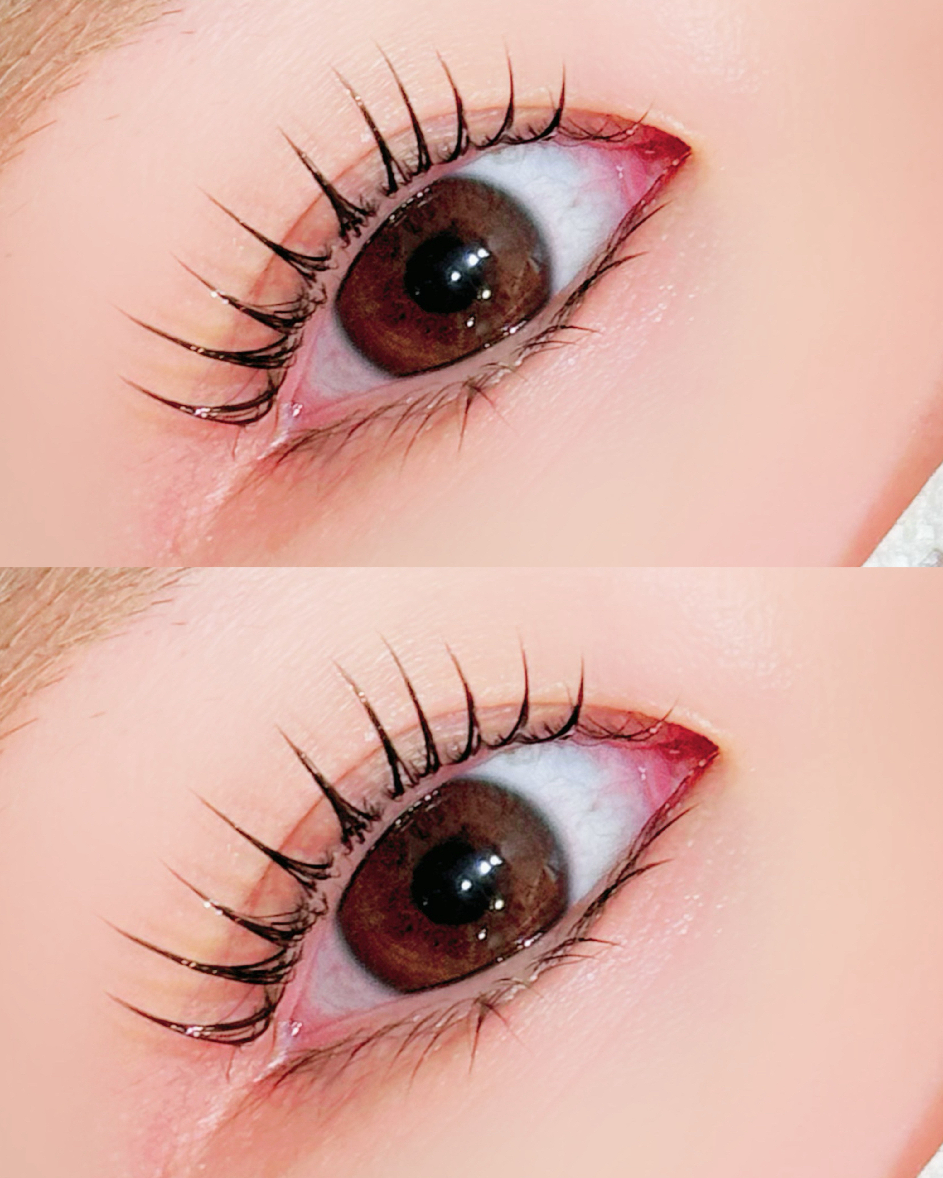 mapuia_niitsu