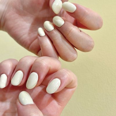 【リピーター様限定平日11:00-17:00】シンプル
