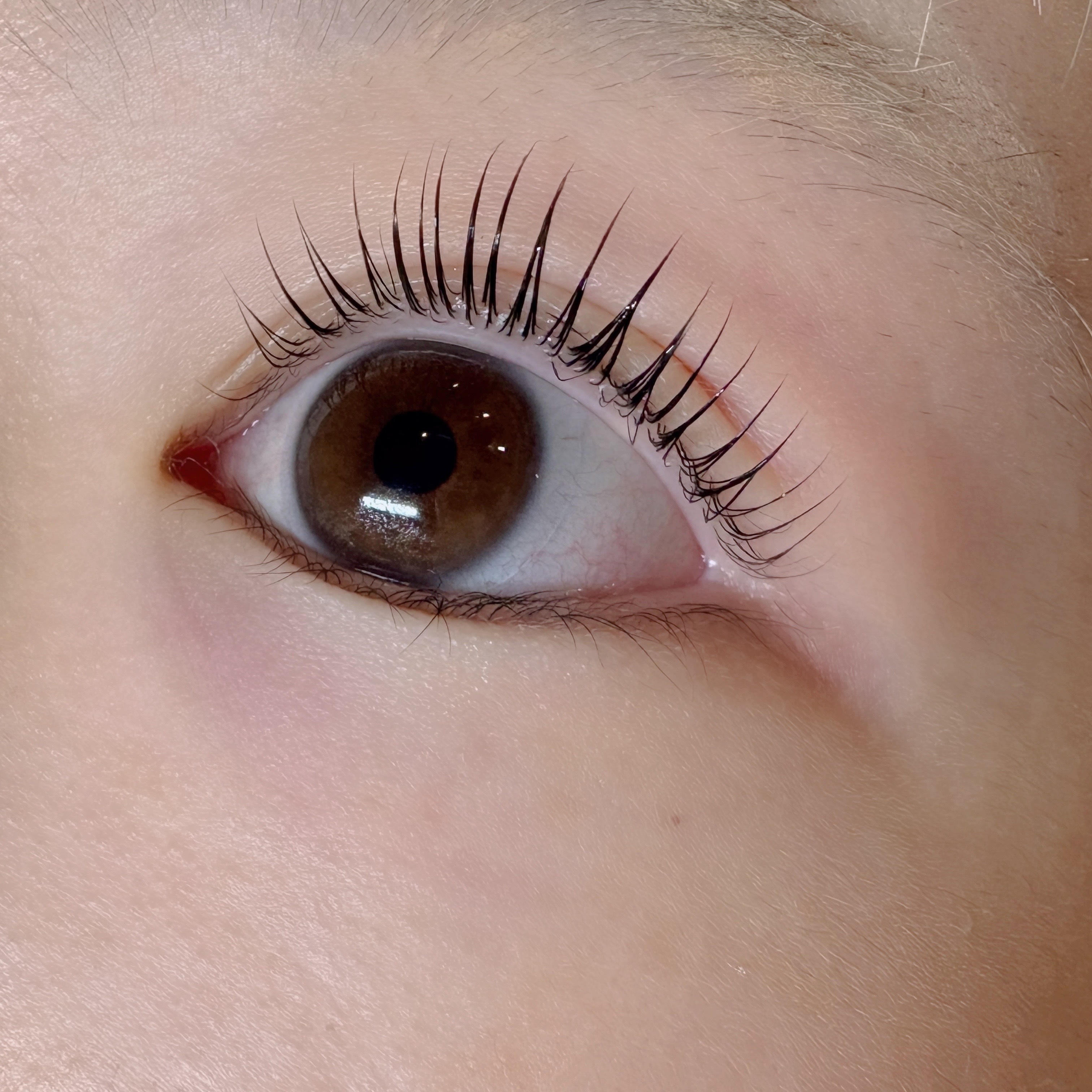 jyuria_trueye