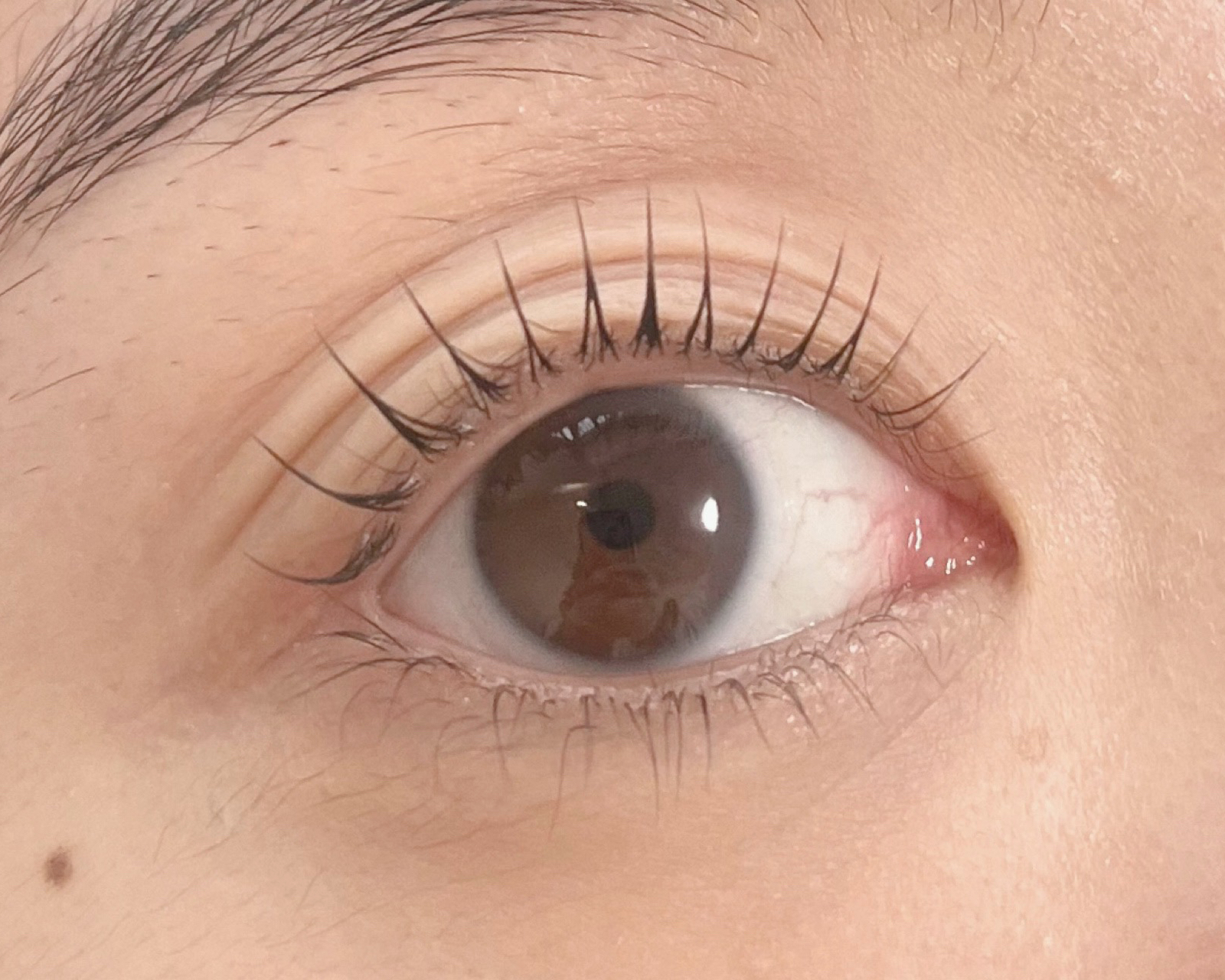 eye_yyui
