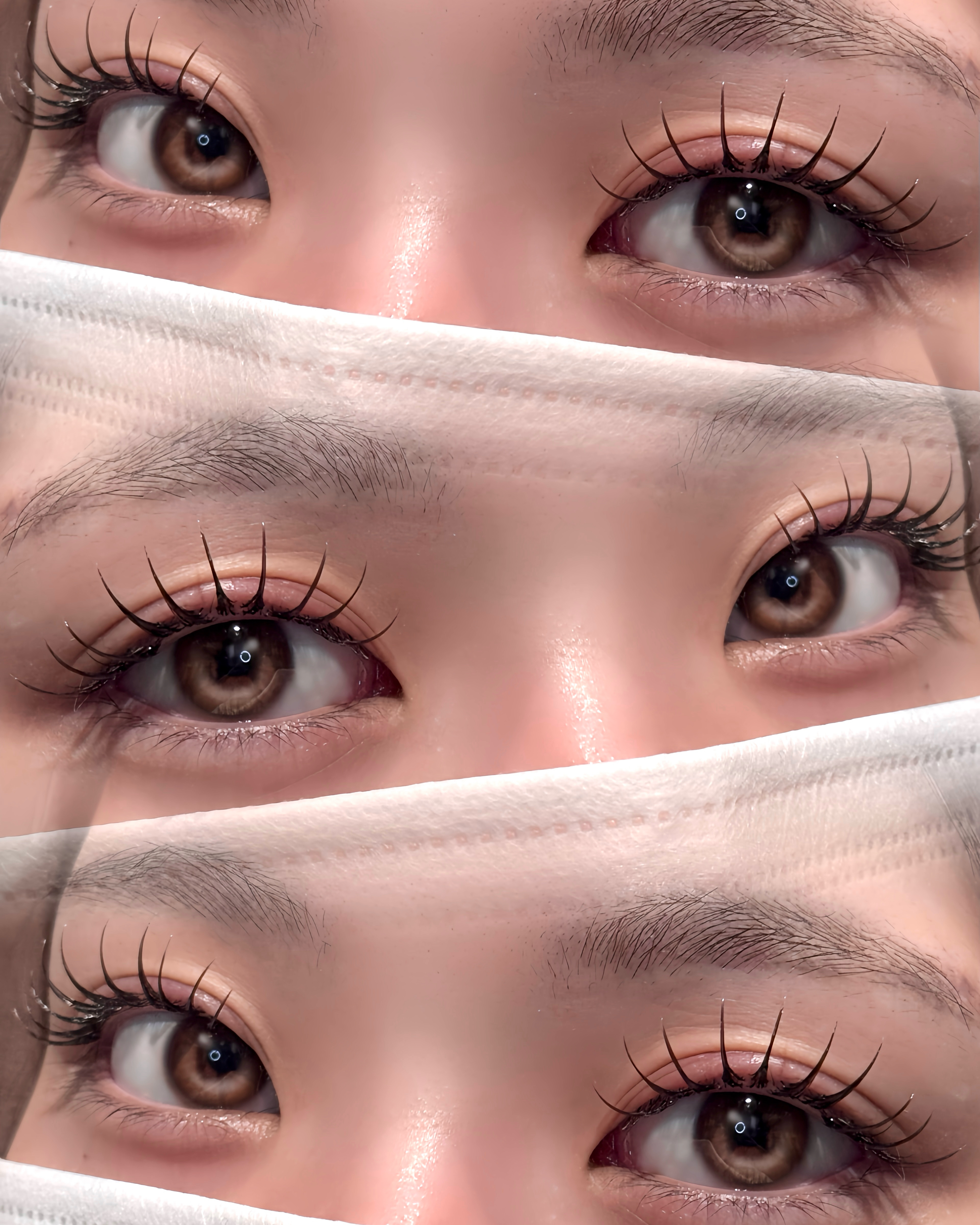 eyelash_mochan