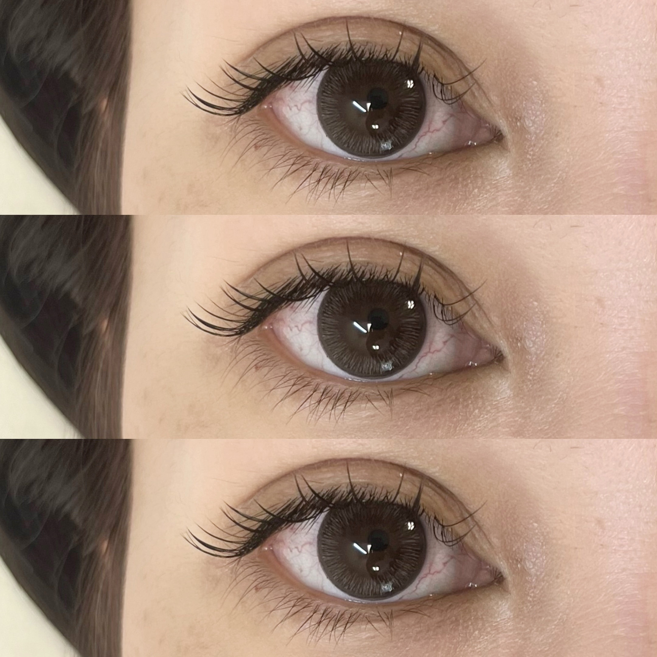 himawari_trueye
