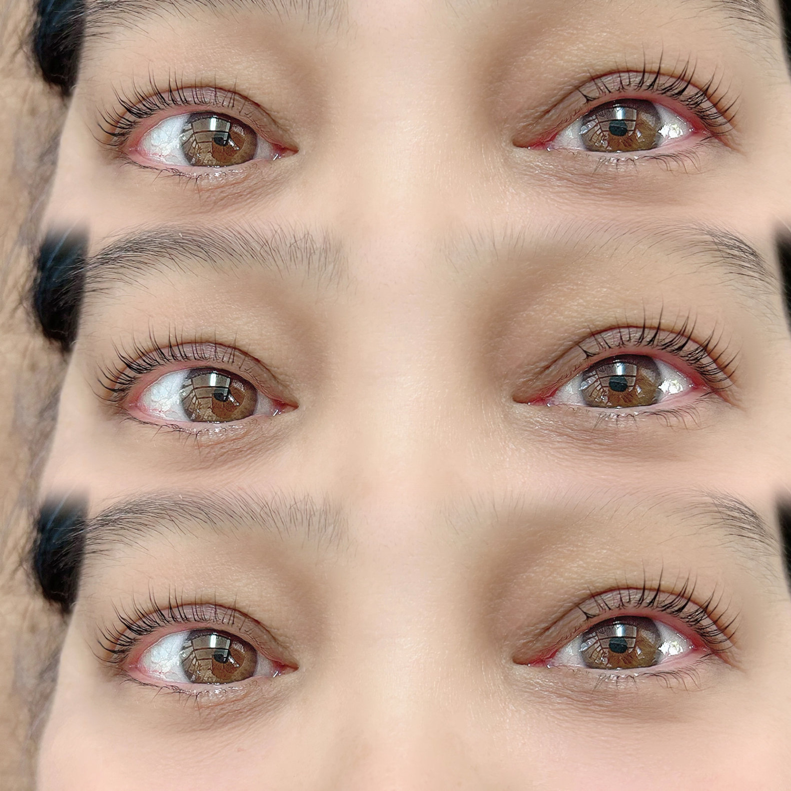 Veluce_kashiwa