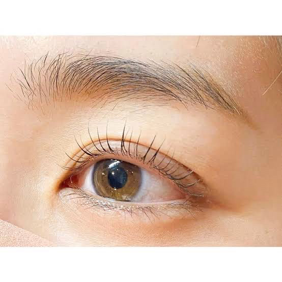 88eyelash