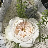 nana_0525