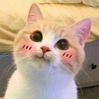 Rinrinchan_pio