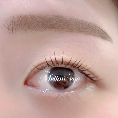 【OPEN記念】ラッシュリフト＋アイブロウWAX