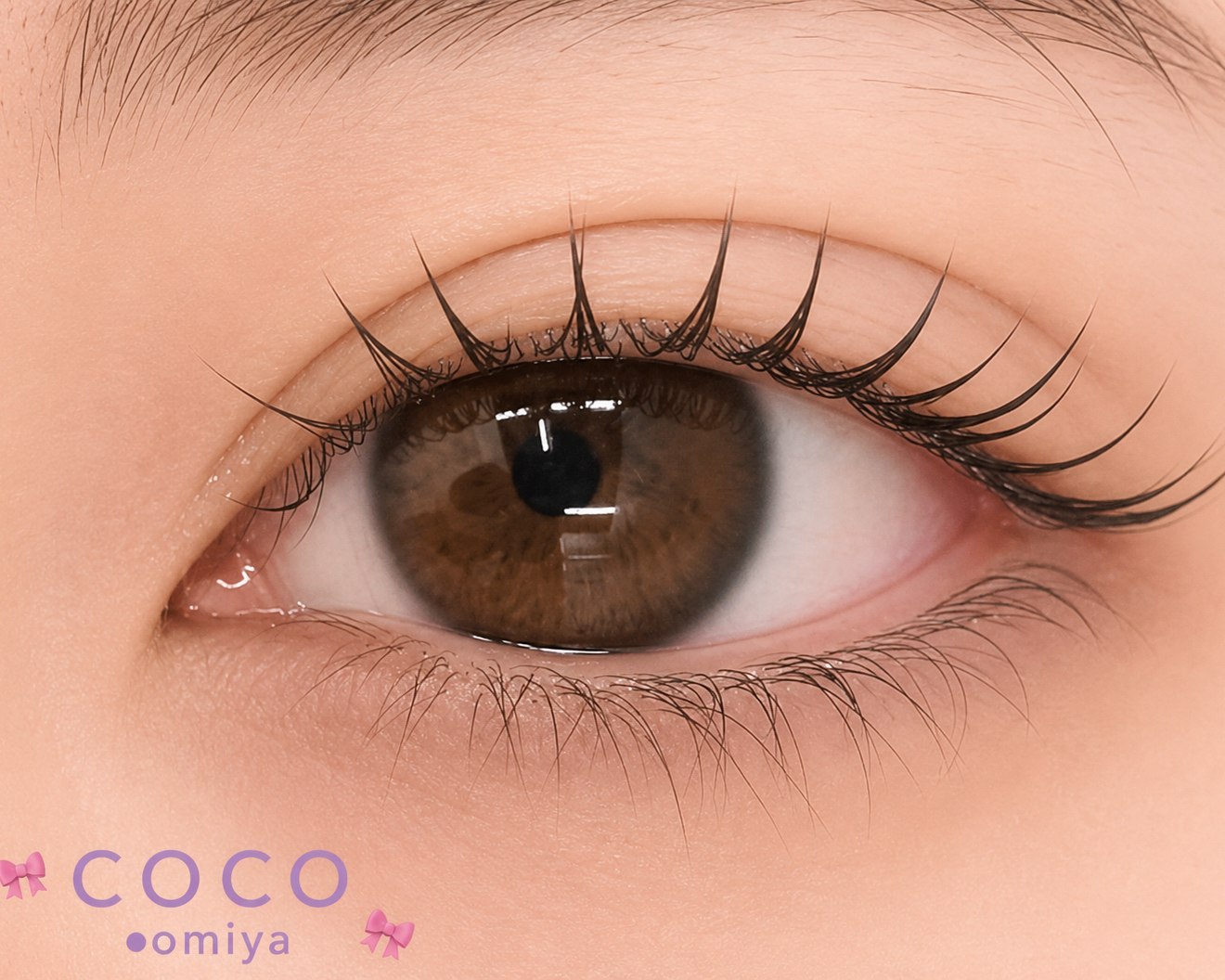 coco_shizuku
