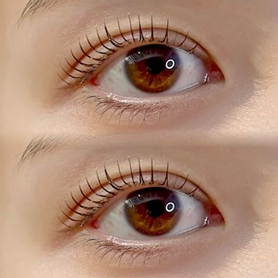 ラッシュリフト(上下セット)