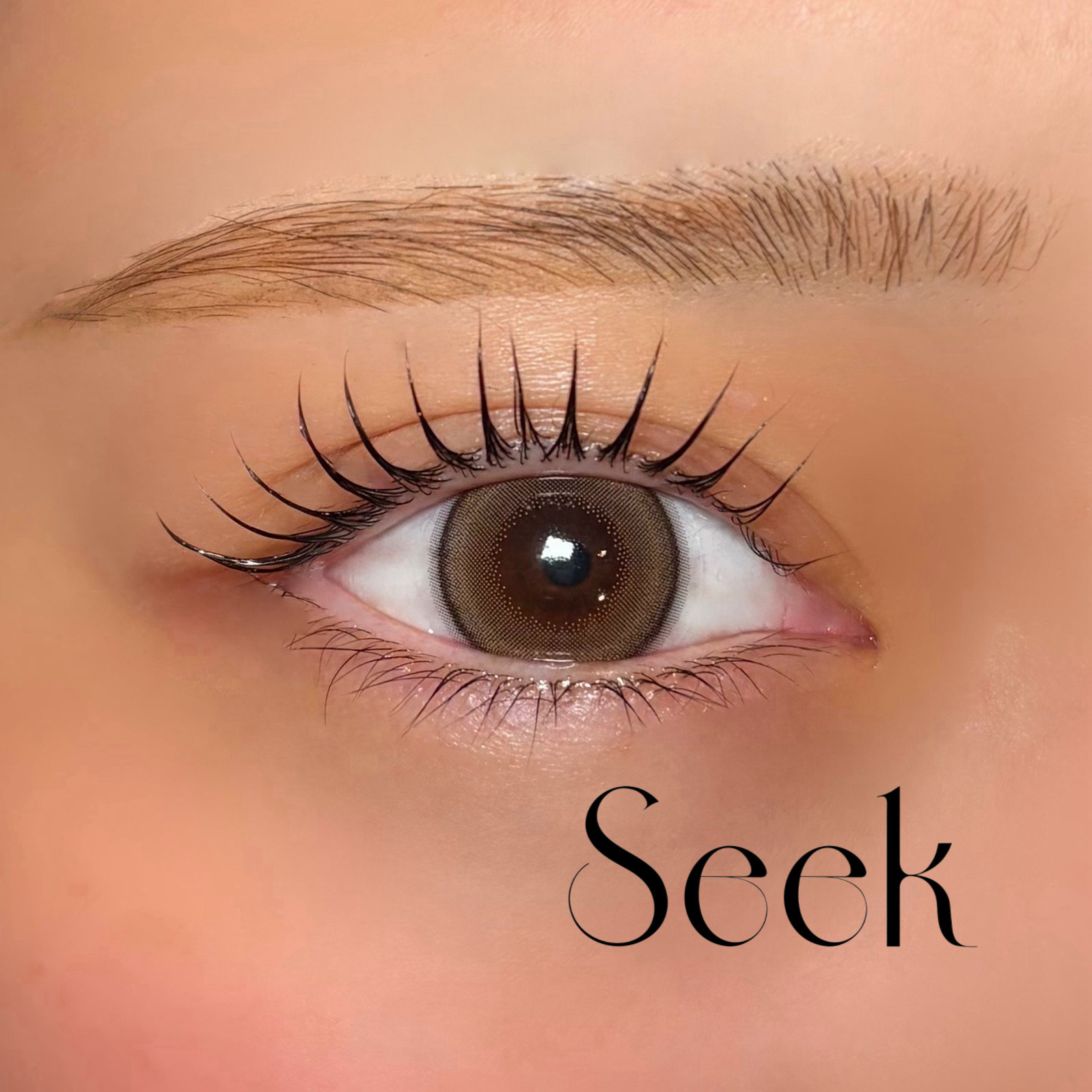 seek._maha