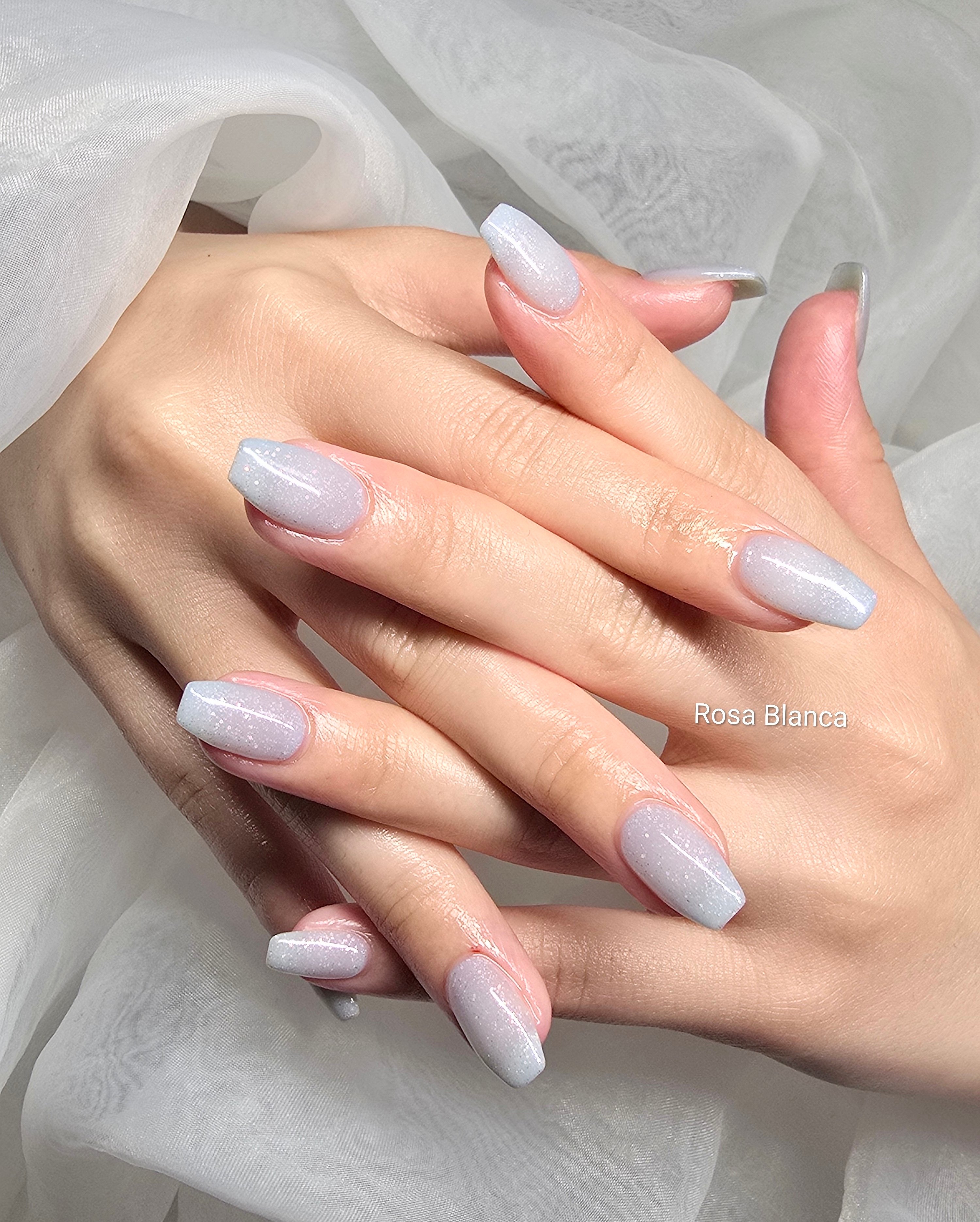 Rosa_Blanca