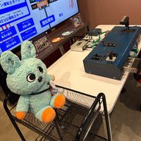 rilakkumae569