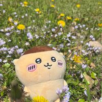 kanaaa92