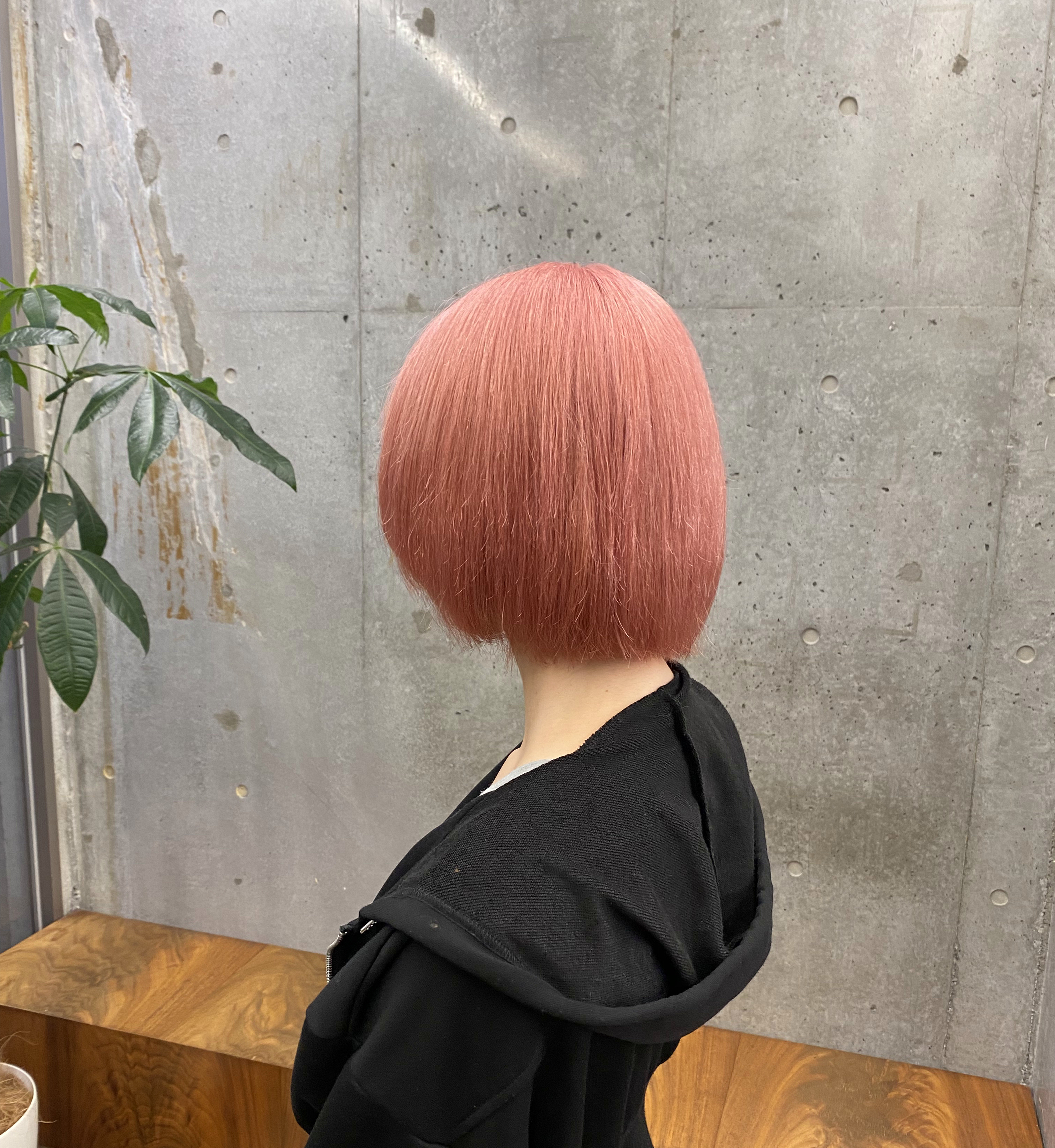 nozomu_sato
