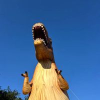 s__.
