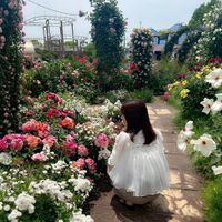 purin_rin