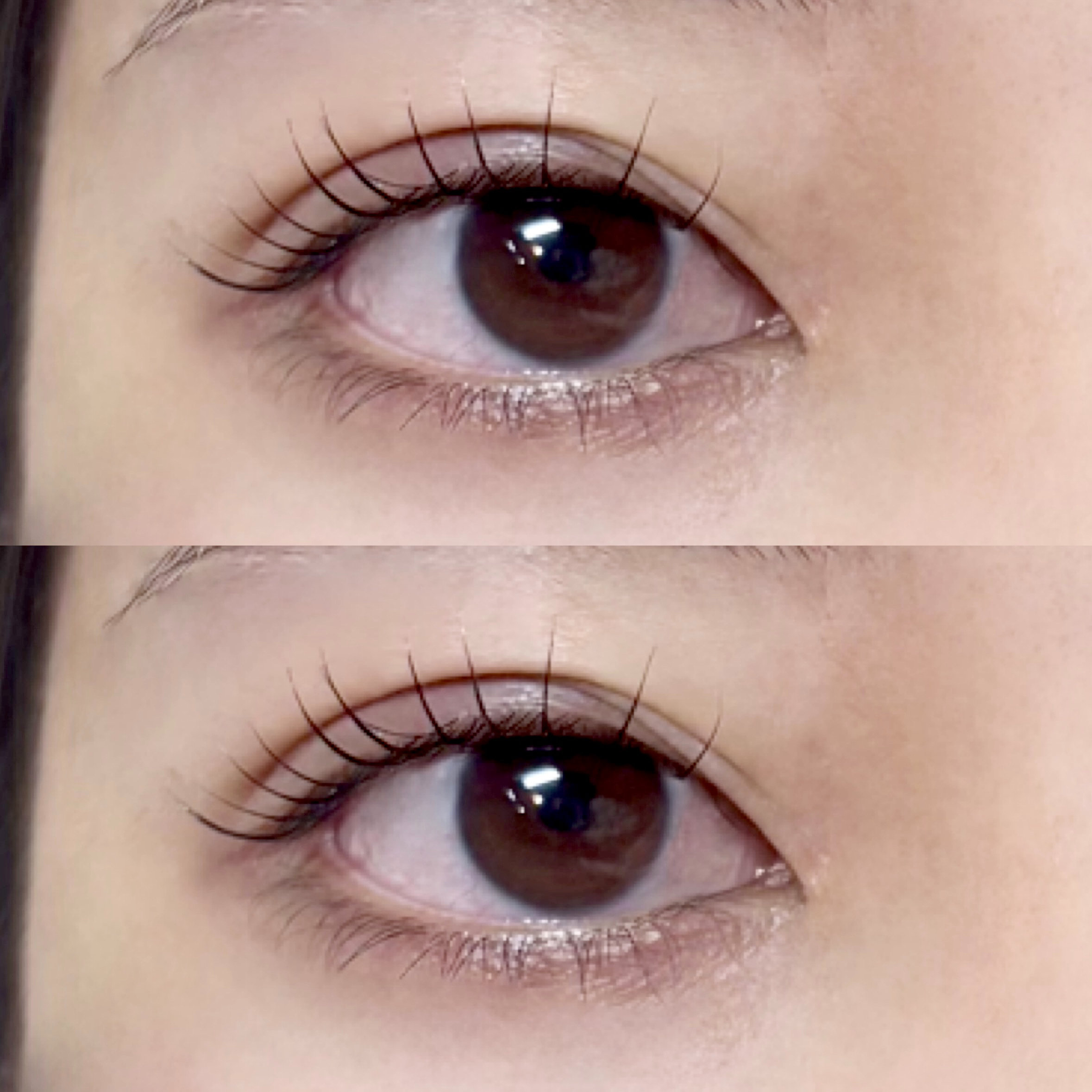 anna_modeks