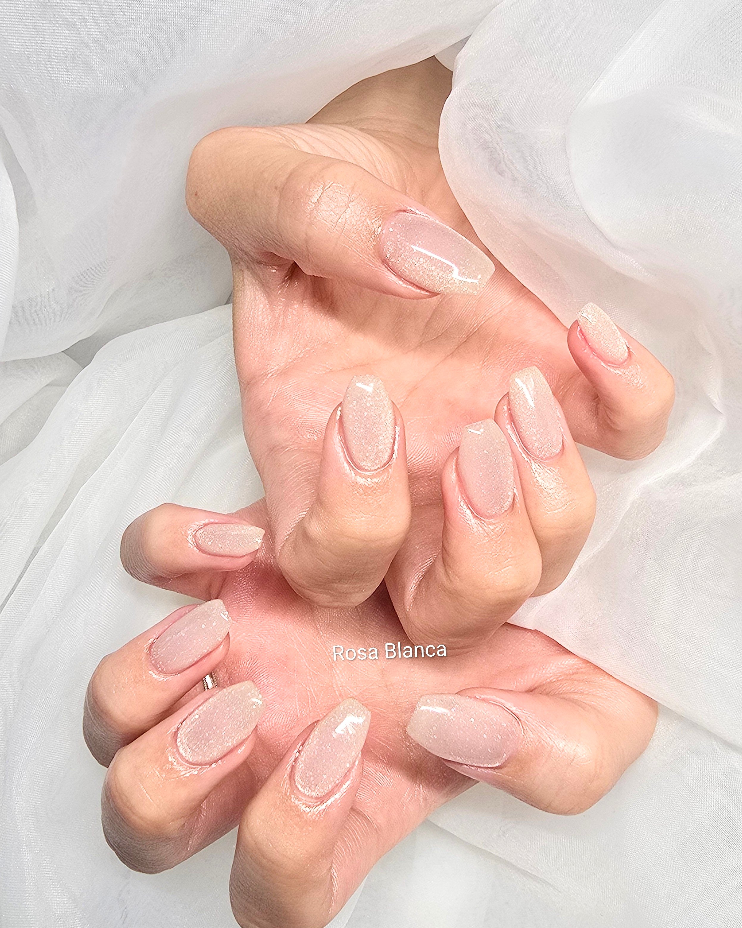 Rosa_Blanca