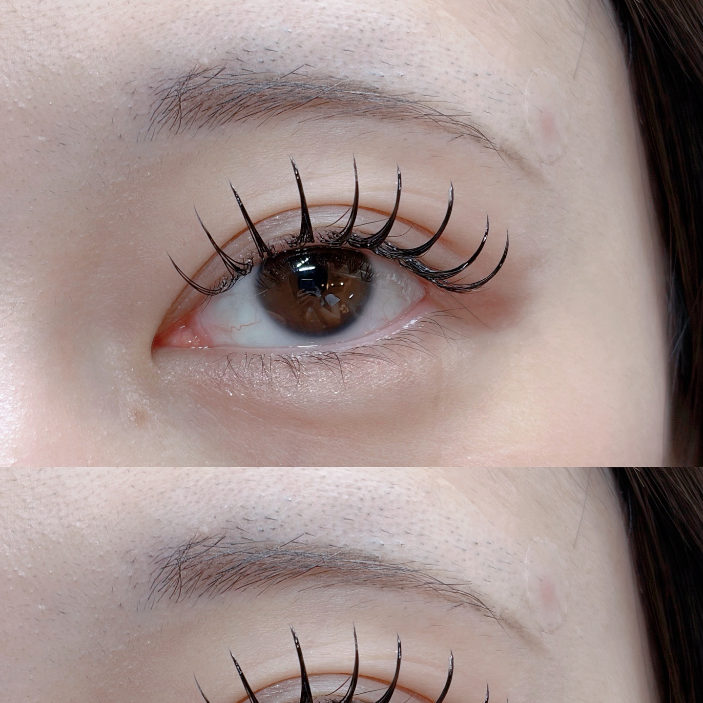 eyelash.ayumi