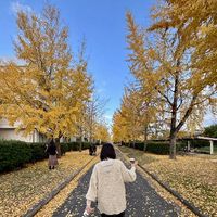 T0vrz7hfF6|misakchiii._