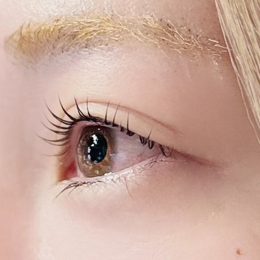 ONEDOOR_LISA