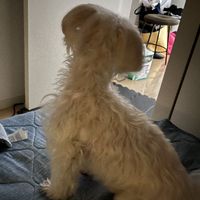 inh_4869_1129