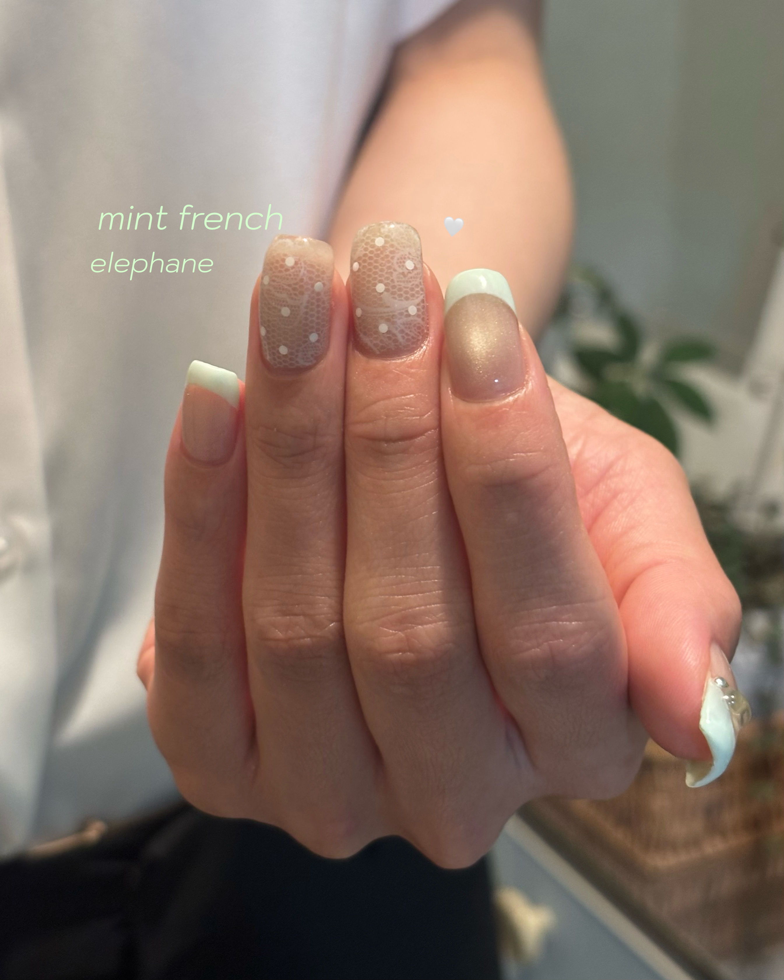 elephane
