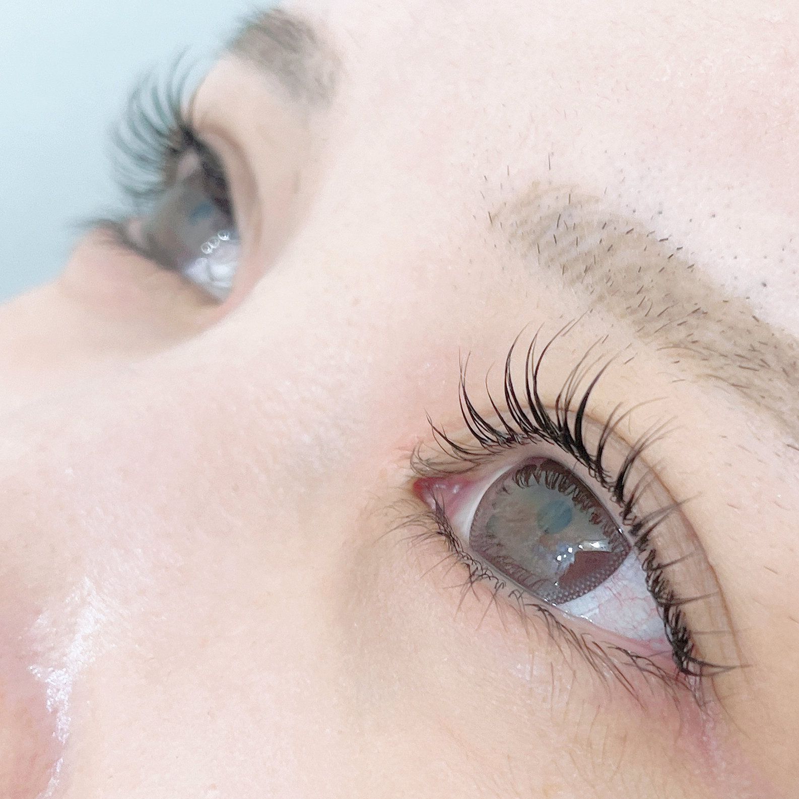 Maxeyelash
