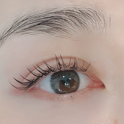 フラットラッシュ80本