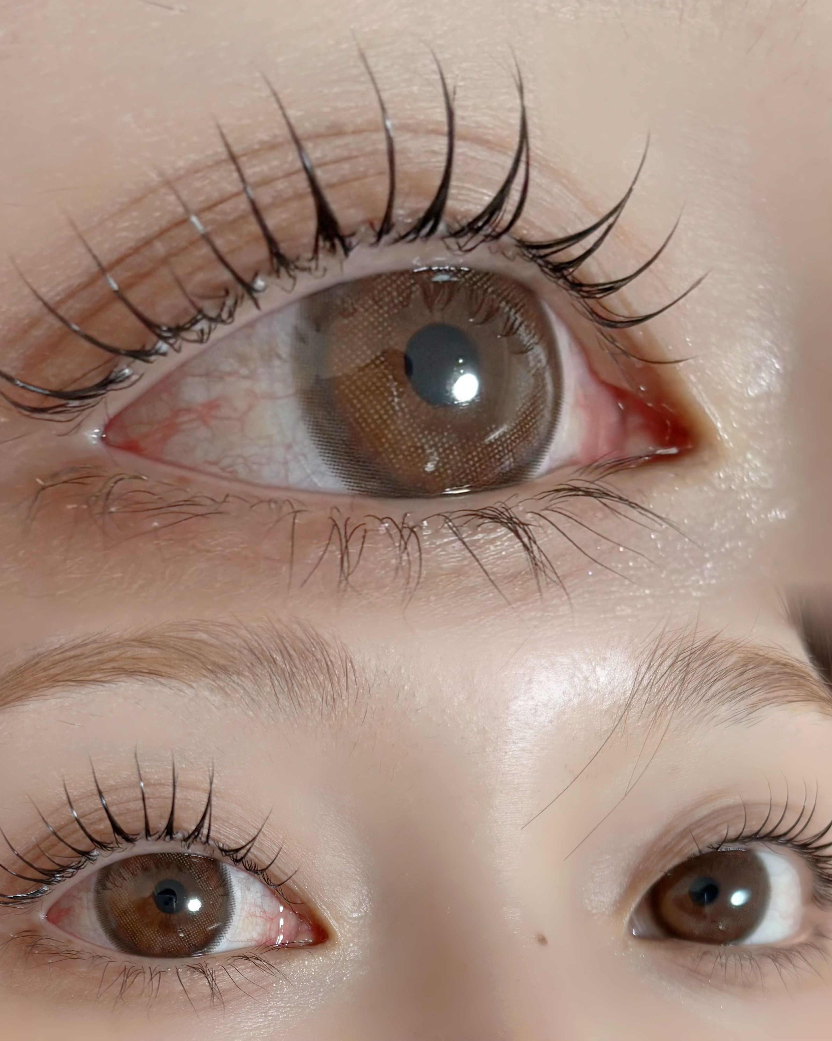filo_eyelash