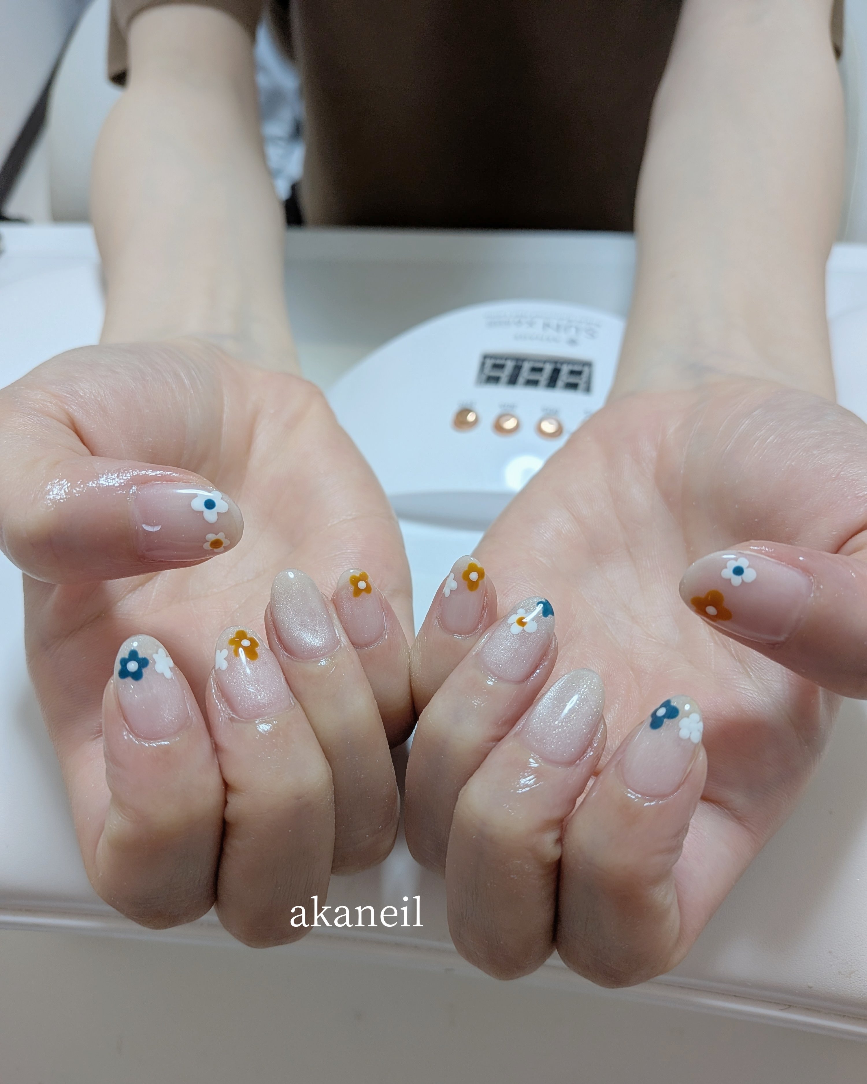 akaneils