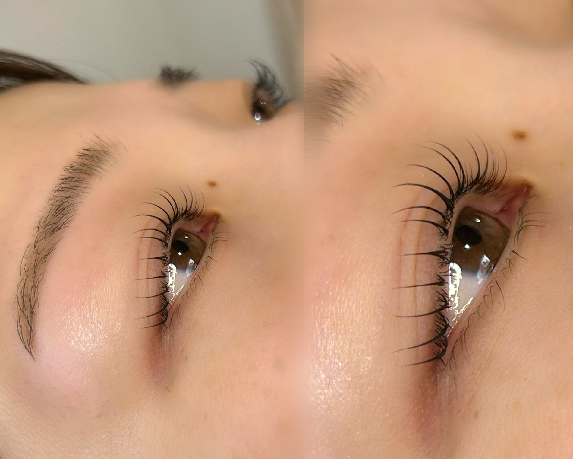 eyelash_eyebrow_desiree.